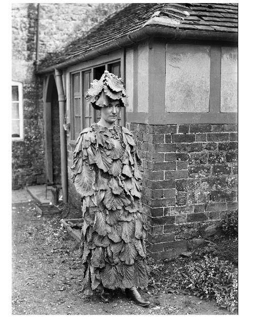 cabbage leaf costume fancy dress